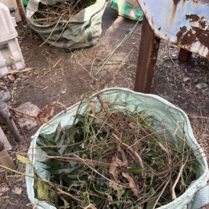 横浜市磯子区で竹を伐採している様子