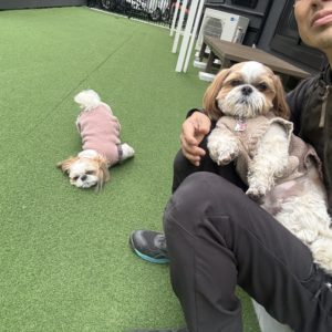 横浜 出張買取 便利屋インプルーブ（他社断りの逆転判断）