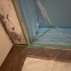 横浜市中区 壁紙カビ補修 作業前の状態