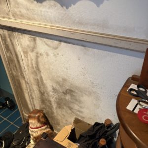 横浜市中区本牧 壁紙カビ 塗装補修