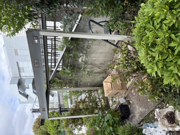 横浜市保土ケ谷区 物置解体 屋根撤去