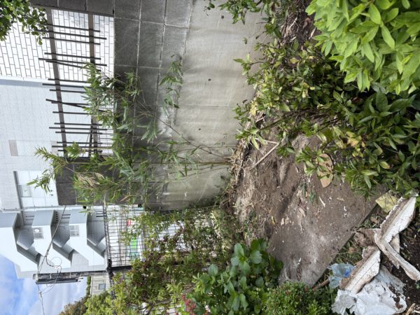 横浜市保土ケ谷区 物置解体 壁撤去中