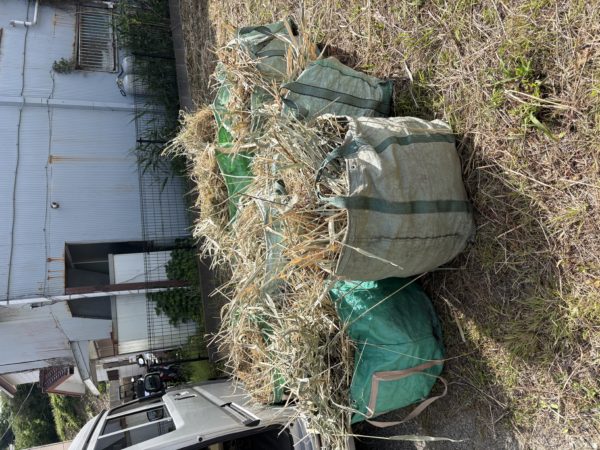 横浜市金沢区 草刈り後の草の回収作業