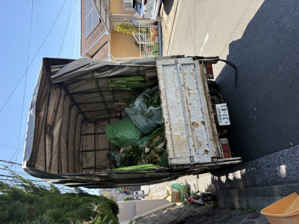川崎市 集合住宅 遺品整理 大型家具搬出 養生作業
