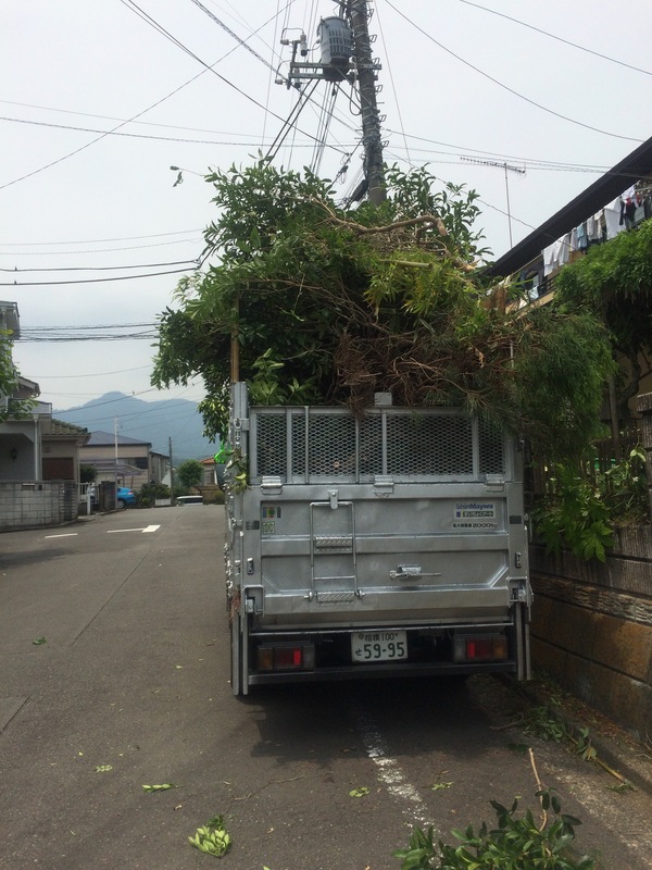 新記録なくらい積み込みました