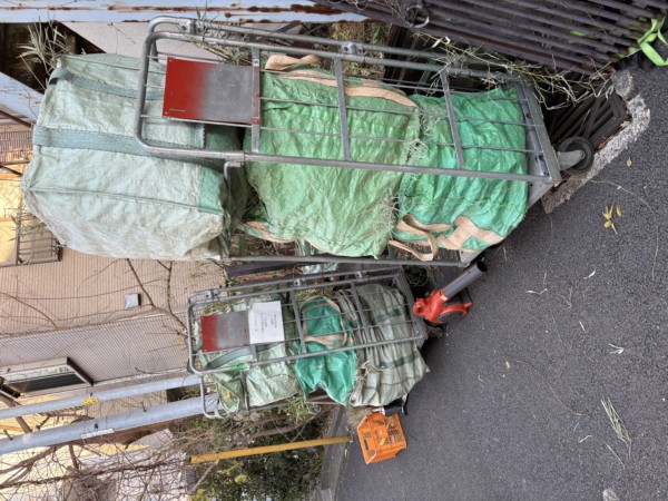 神奈川県横浜市中区にて草刈りしてきましたのサムネイル